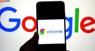 谷歌浏览器无法下载大文件怎么办 Google Chrome下载管理设置