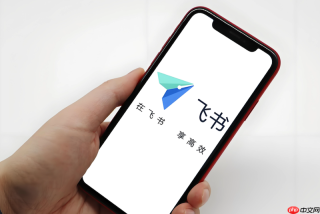 飞书消息无法撤回提示错误怎么办 飞书消息撤回优化技巧