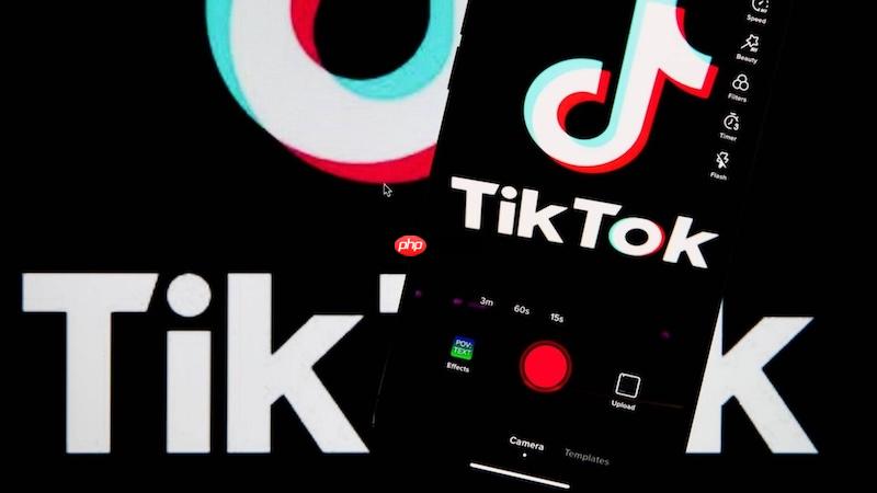 tiktok搜索结果不显示如何解决 tiktok搜索刷新优化方法
