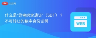 什么是“灵魂绑定通证”（sbt）？不可转让的数字身份证明 - php中文网