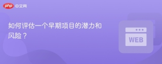 如何评估一个早期项目的潜力和风险？