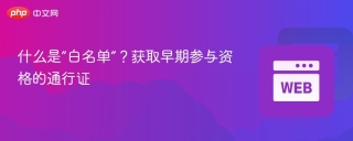 什么是“白名单”？获取早期参与资格的通行证