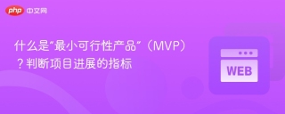 什么是“最小可行性产品”（MVP）？判断项目进展的指标