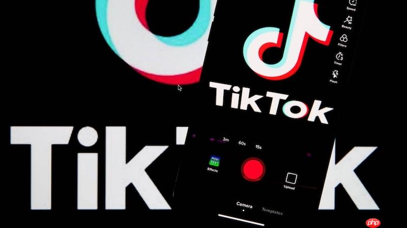 tiktok私信接收延迟如何解决 tiktok消息刷新优化技巧