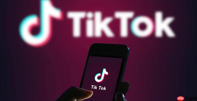 tiktok视频封面无法显示怎么办 tiktok封面刷新优化方法