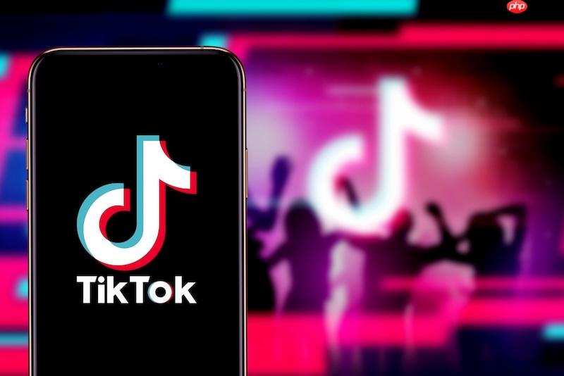 tiktok网页版官方入口 tiktok网页端互动功能快速教程