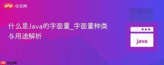什么是Java的字面量_字面量种类与用途解析