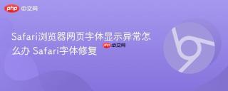 Safari浏览器网页字体显示异常怎么办 Safari字体修复