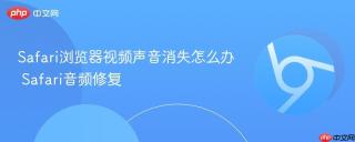 Safari浏览器视频声音消失怎么办 Safari音频修复