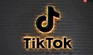 TikTok收藏夹视频无法播放怎么办 TikTok收藏视频刷新优化方法