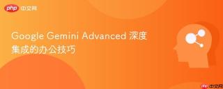 google gemini advanced 深度集成的办公技巧