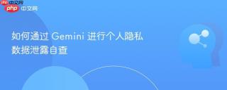 如何通过 Gemini 进行个人隐私数据泄露自查