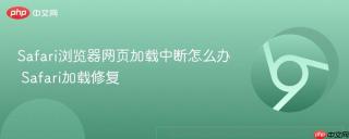 safari浏览器网页加载中断怎么办 safari加载修复
