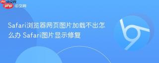 safari浏览器网页图片加载不出怎么办 safari图片显示修复