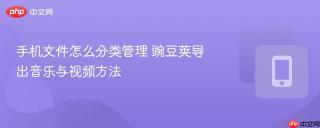 手机文件怎么分类管理 豌豆荚导出音乐与视频方法