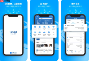 交管12123互联网平台主页 交管12123网页端快速登录
