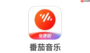如何开启番茄音乐动态歌词 手机锁屏显示歌词设置指南