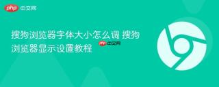 搜狗浏览器字体大小怎么调 搜狗浏览器显示设置教程