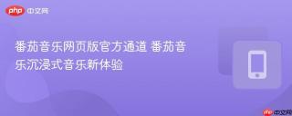 番茄音乐网页版官方通道 番茄音乐沉浸式音乐新体验