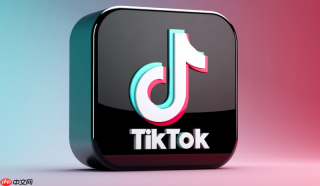 TikTok官方入口登录教程 TikTok网页版账号快速访问