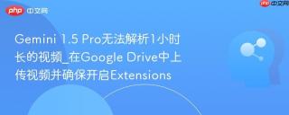 Gemini 1.5 Pro无法解析1小时长的视频_在Google Drive中上传视频并确保开启Extensions