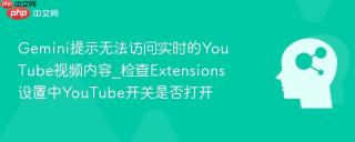 Gemini提示无法访问实时的YouTube视频内容_检查Extensions设置中YouTube开关是否打开