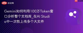 Gemini如何利用100万Token窗口分析整个文档库_在AI Studio中一次性上传多个大文件
