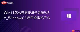 Win11怎么开启安卓子系统WSA_Windows11启用虚拟机平台