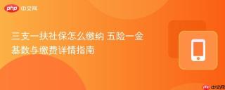 三支一扶社保怎么缴纳 五险一金基数与缴费详情指南