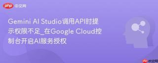 Gemini AI Studio调用API时提示权限不足_在Google Cloud控制台开启AI服务授权