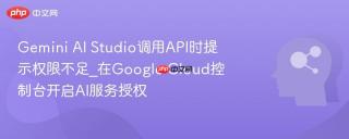 gemini ai studio调用api时提示权限不足_在google cloud控制台开启ai服务授权