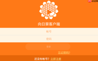 向日葵远程控制平台访问方式 向日葵网页版官方登录入口
