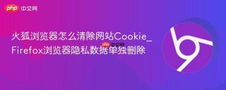 火狐浏览器怎么清除网站Cookie_Firefox浏览器隐私数据单独删除