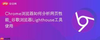 chrome浏览器如何分析网页性能_谷歌浏览器lighthouse工具使用