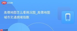 高德地图怎么看路况图_高德地图城市交通拥堵指数