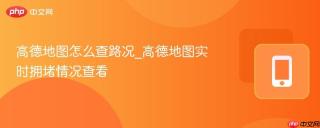 高德地图怎么查路况_高德地图实时拥堵情况查看