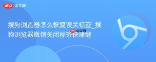搜狗浏览器怎么恢复误关标签_搜狗浏览器撤销关闭标签快捷键