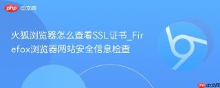 火狐浏览器怎么查看SSL证书_Firefox浏览器网站安全信息检查
