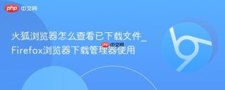 火狐浏览器怎么查看已下载文件_Firefox浏览器下载管理器使用