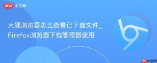 火狐浏览器怎么查看已下载文件_firefox浏览器下载管理器使用