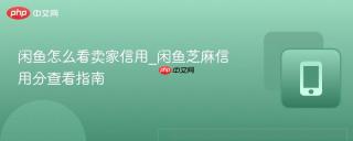 闲鱼怎么看卖家信用_闲鱼芝麻信用分查看指南