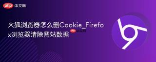火狐浏览器怎么删Cookie_Firefox浏览器清除网站数据