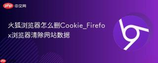火狐浏览器怎么删cookie_firefox浏览器清除网站数据