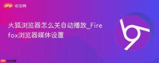 火狐浏览器怎么关自动播放_firefox浏览器媒体设置