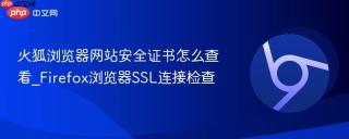 火狐浏览器网站安全证书怎么查看_firefox浏览器ssl连接检查