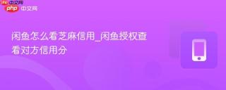 闲鱼怎么看芝麻信用_闲鱼授权查看对方信用分