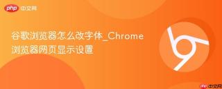 谷歌浏览器怎么改字体_chrome浏览器网页显示设置