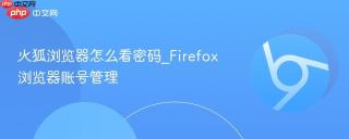 火狐浏览器怎么看密码_Firefox浏览器账号管理