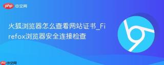 火狐浏览器怎么查看网站证书_Firefox浏览器安全连接检查