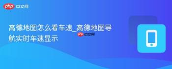 高德地图怎么看车速_高德地图导航实时车速显示